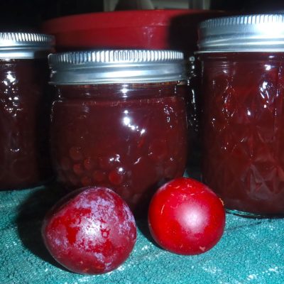 Mrs. C. Alfred Bergsten'S Recipe From The Philathea Cook Book Of Elim Baptist Church In Minneapolis