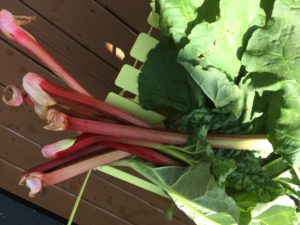 Nome Rhubarb And Onion Relish