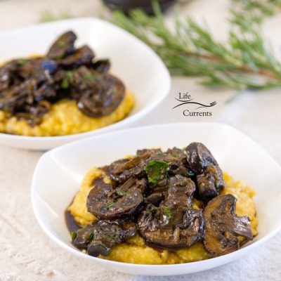 Polenta Squares With Mushroom Ragu