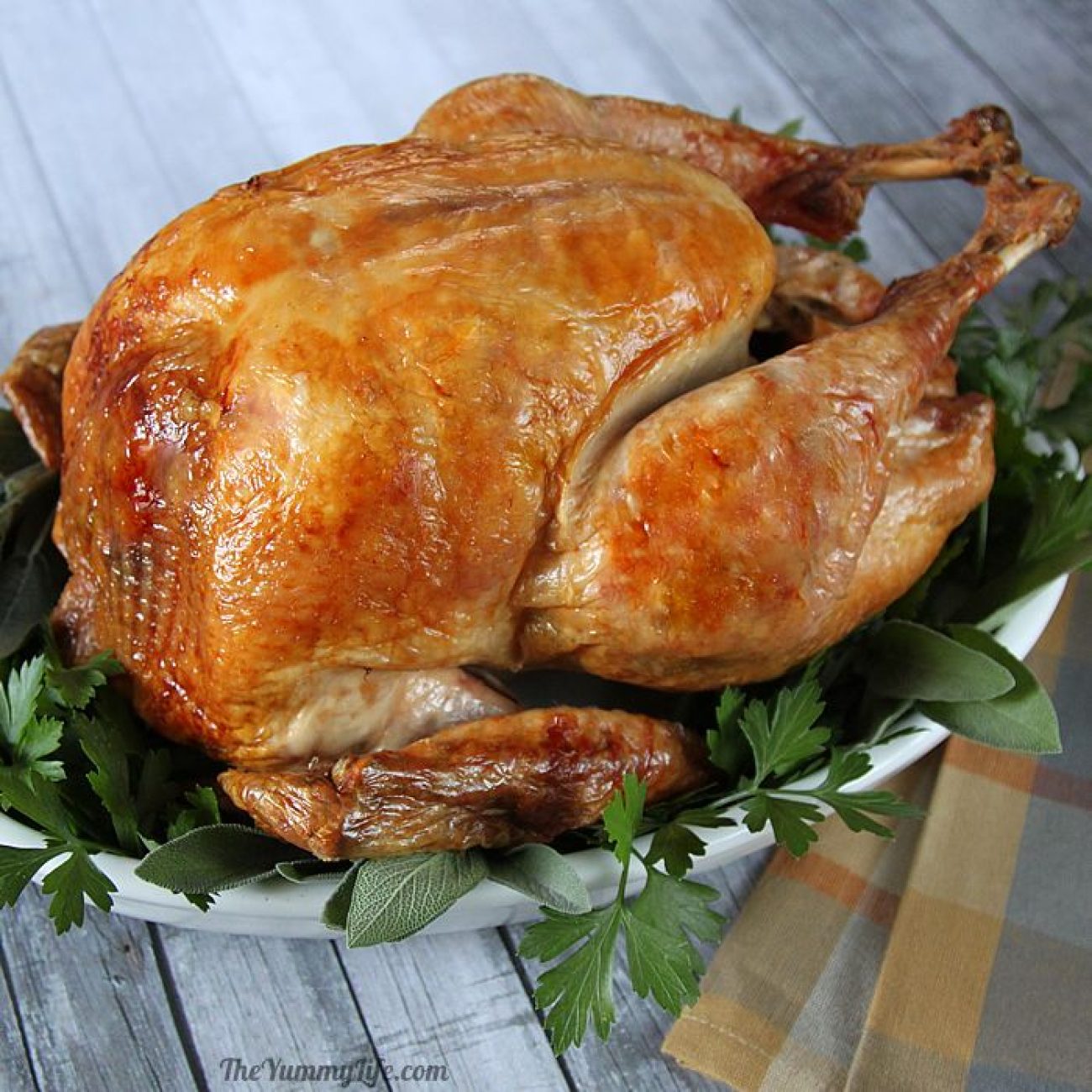Roast Turkey Easy Steps For New Cooks