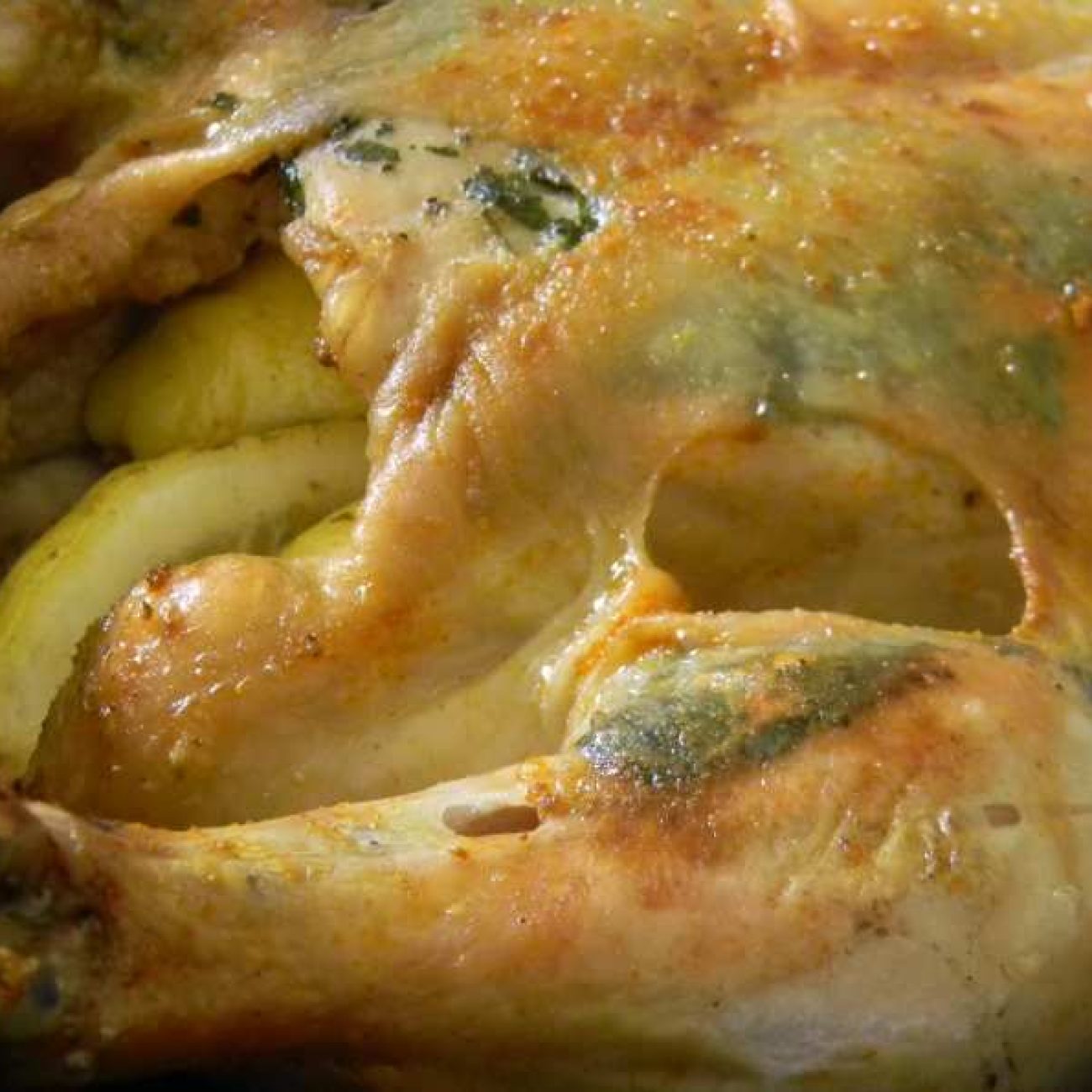 Rosemary Lemon Twin Roast Chickens For The