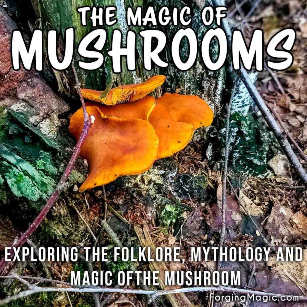 Samhain Toadstools
