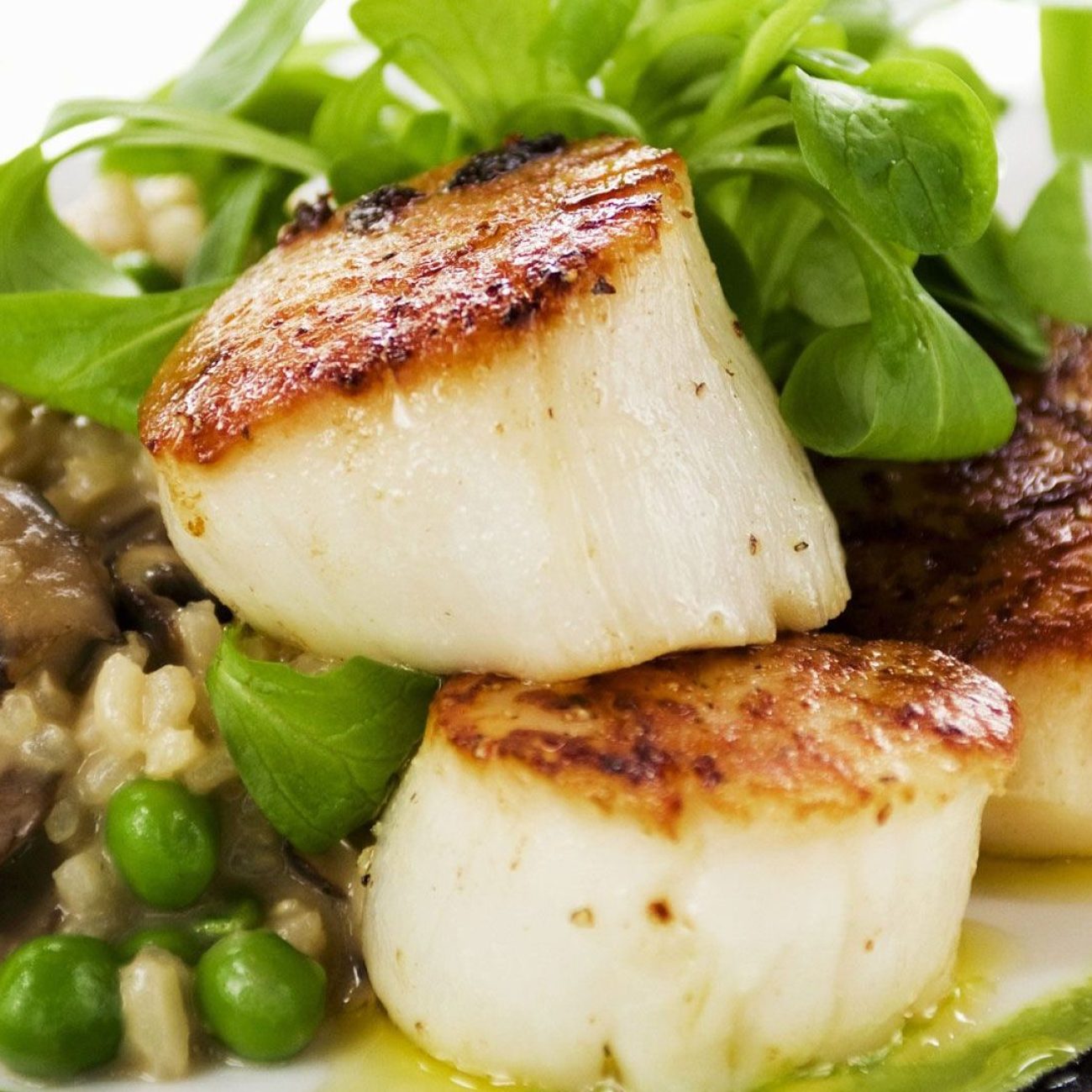 Seared Scallops With Mushrooms