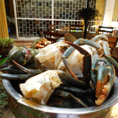 Shas Caribbean Crab Souffle