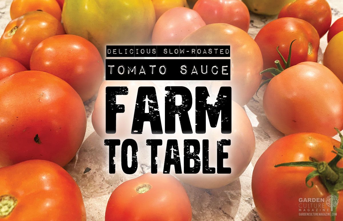 Slow-Roasted Tomato Sauce