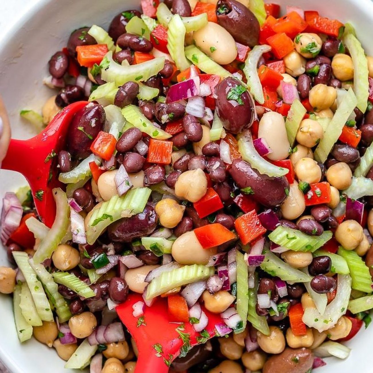 Zesty Mixed Bean Salad Recipe: A Refreshing Side Dish